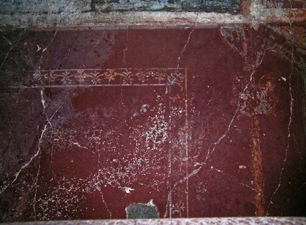 V.5, Herculaneum. May 2005. Room 8, painted panel from east wall, with edging of a carpet border. Photo courtesy of Nicolas Monteix.
